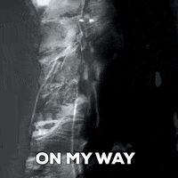 Travel Roam GIF by J. Lupo Arms