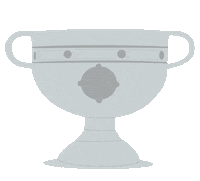 gaelic football Sticker by AIB