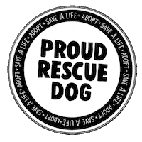 Adopt Animal Rescue Sticker