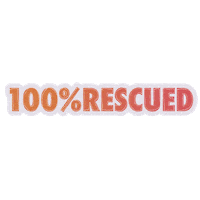 7kingcavaliers cavalier rescue dog cavalier king charles spaniel rescue animal Sticker