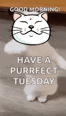 Goodmorning GIF by ShiroNeko