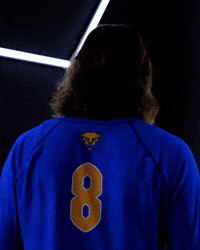 H2P Pitt Volleyball GIF by Pitt Panthers