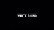 Film Production GIF by White Rhino