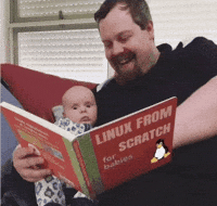 sorgulama_ risev10 baby linux GIF