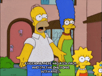 homer simpson GIF