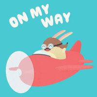 hopperapp cute bunny flying omw GIF