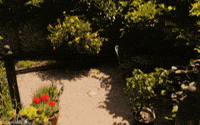 virtual reality vr GIF by sheepfilms