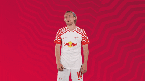 Football No GIF by RB Leipzig