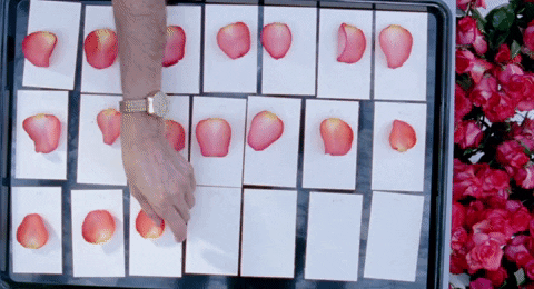 petals GIF by NOWNESS