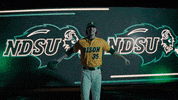 Ndsu Baseball GIF by NDSU Athletics