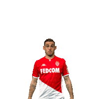 Ligue 1 Football Sticker by AS Monaco
