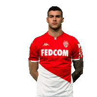 Ligue 1 Football Sticker by AS Monaco