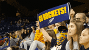 utrockets sports sport rocky rockets GIF