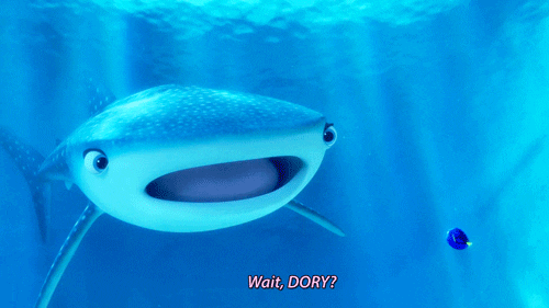 finding dory pixar GIF