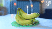 Konradulations birthday happy birthday song congrats GIF