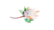flower icf Sticker by ICFLeipzig