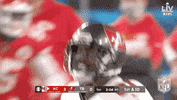 Super Bowl Football GIF by NFL