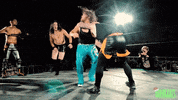 Wrestling GIF by SHWAperth