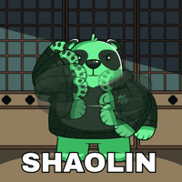Dont Test Me Martial Arts GIF by SuperVerse