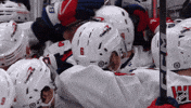 Happy Washington Capitals GIF by NHL