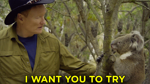 australia conan GIF by Team Coco