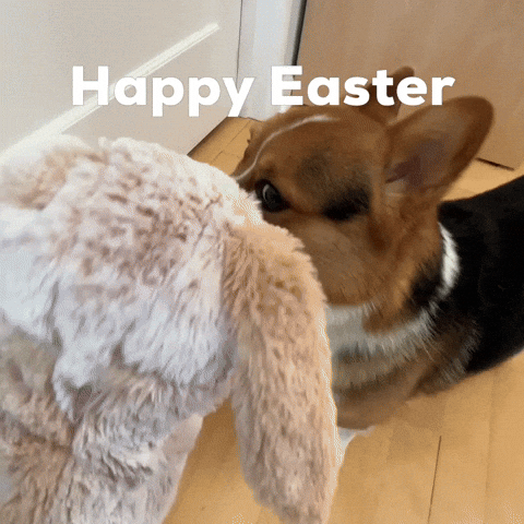 Dog Easter GIF