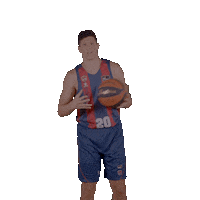 Liga Endesa Basketball Sticker by ACB