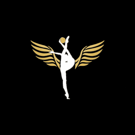 briritmica giphygifmaker ritmica ginnastica ginnastica ritmica GIF