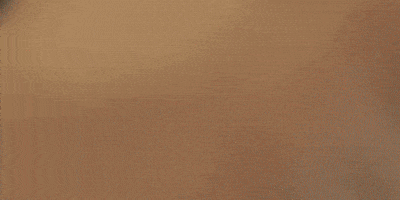 Dream Big Timothee Chalamet GIF by A24