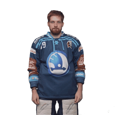 Hockey Swipe Up Sticker by HC Škoda Plzeň