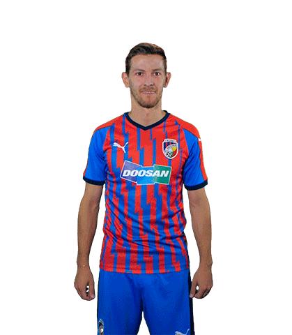 Hrosovsky Sticker by FCVP