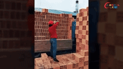 like a boss stacking bricks GIF