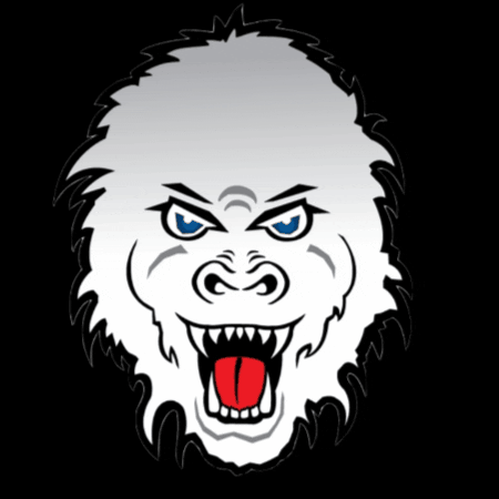 AlexBlizzard giphygifmaker hockey blizzard na3hl GIF