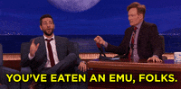 zachary levi disneyland GIF by Team Coco