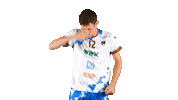 Sport Bundesliga Sticker by WWK Volleys Herrsching
