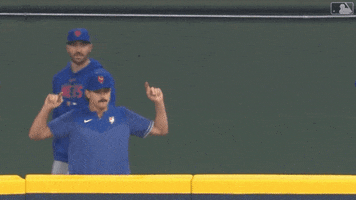 Celebrate Major League Baseball GIF by New York Mets