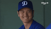 Major League Baseball Sport GIF by MLB