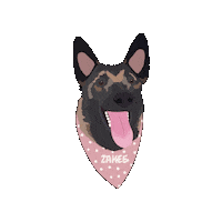 Belgian Malinois Art Sticker
