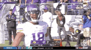 Minnesota Vikings Football GIF by NFL