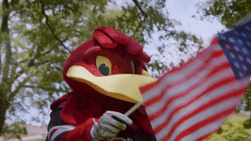 Independence Day College GIF by University of South Carolina