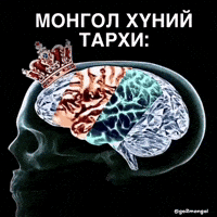 Mongolia Mongol Meme GIF