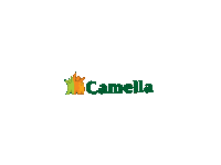 camellaofficial real estate investment township house and lot for sale Sticker