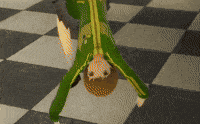 Flying Persona 4 GIF