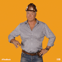 Channel 9 Scotty GIF by The Block