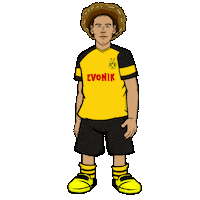 borussia dortmund football Sticker by Bundesliga