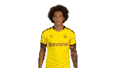 Axel Witsel Football Sticker by Bundesliga
