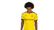 Axel Witsel Football Sticker by Bundesliga