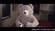 bear teddy GIF