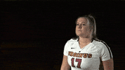 ursinusbears ursinusbears GIF