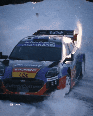 Rallying Ford GIF by FIA World Rally Championship